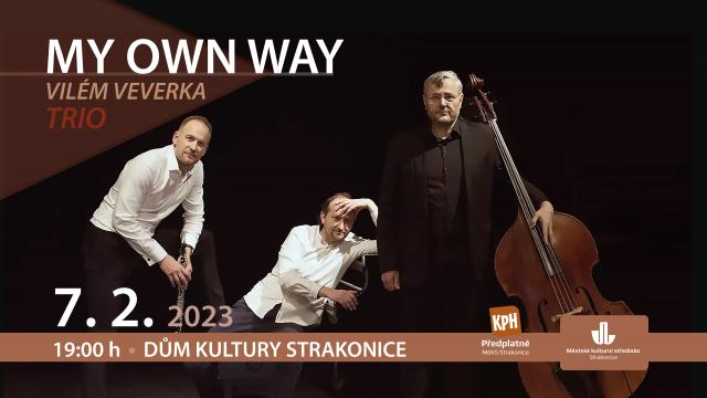 MY OWN WAY - VILÉM VEVERKA TRIO