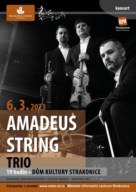 AMADEUS STRING TRIO