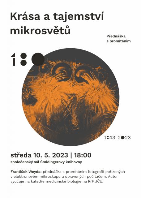 Krása a tajemství mikrosvětů