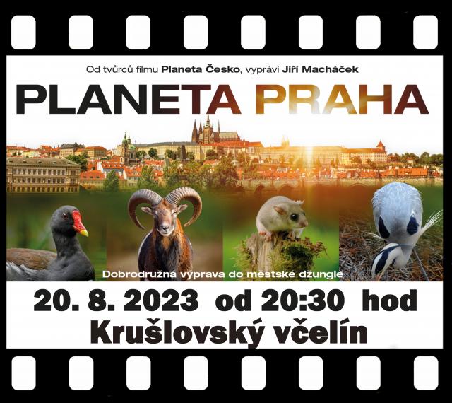 Promítání filmu Planeta Praha