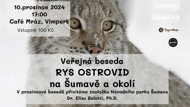 ŠUMAVSKÉ PODCASTY – ELISA BELOTTI