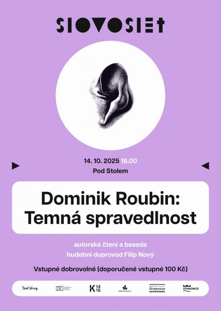 Dominik Roubin - Temná spravedlnost