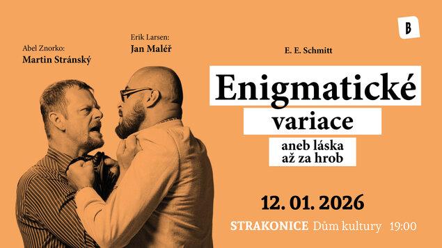 ENIGMATICKÉ VARIACE - Agentura Michal Jančařík / B