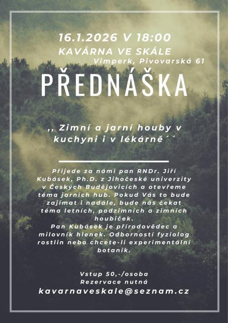 ZIMNÍ A JARNÍ HOUBY V KUCHINI I LÉKÁRNĚ