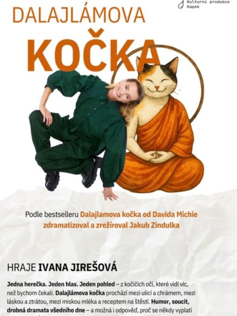 Dalajlámova kočka