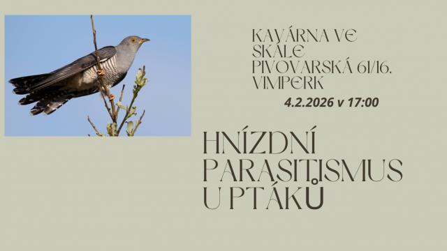 HNÍZDNÍ PARAZITISMUS U PTÁKŮ