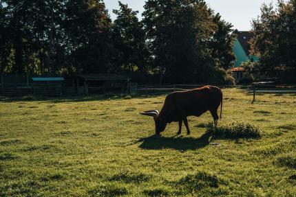 Dem Země - Netradiční komentovaná prohlídka