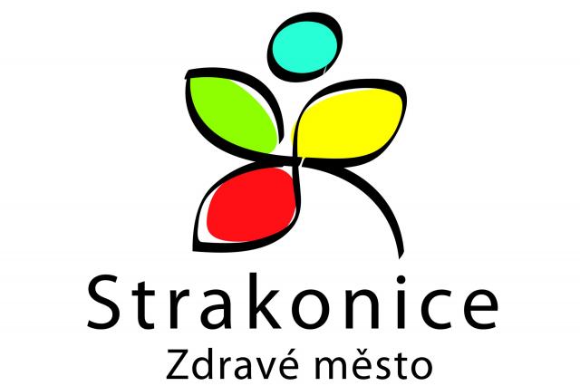 Fórum mládeže aneb Desatero problémů města Strakonice očima žáků a studentů