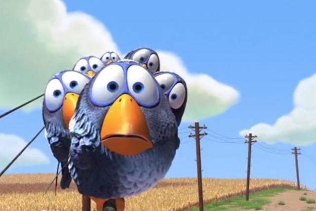 Pro ptáky - Pixar video