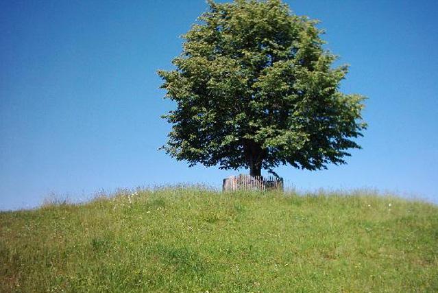 Soběstačnost a odolnost