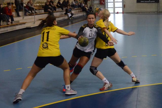 HBC Strakonice 1921 – TJ Lokomotiva Cheb 36:23 (15:14)